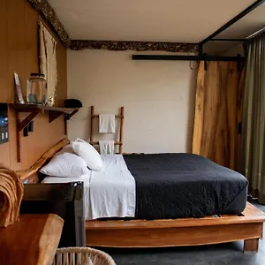https://bufo-alvarius.allrivieramayahotels.com